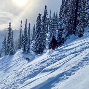 Meet your Posher, Maureen